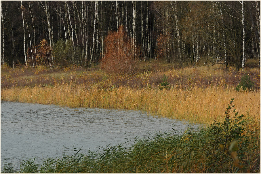 Bergsee, Dammer Berge
