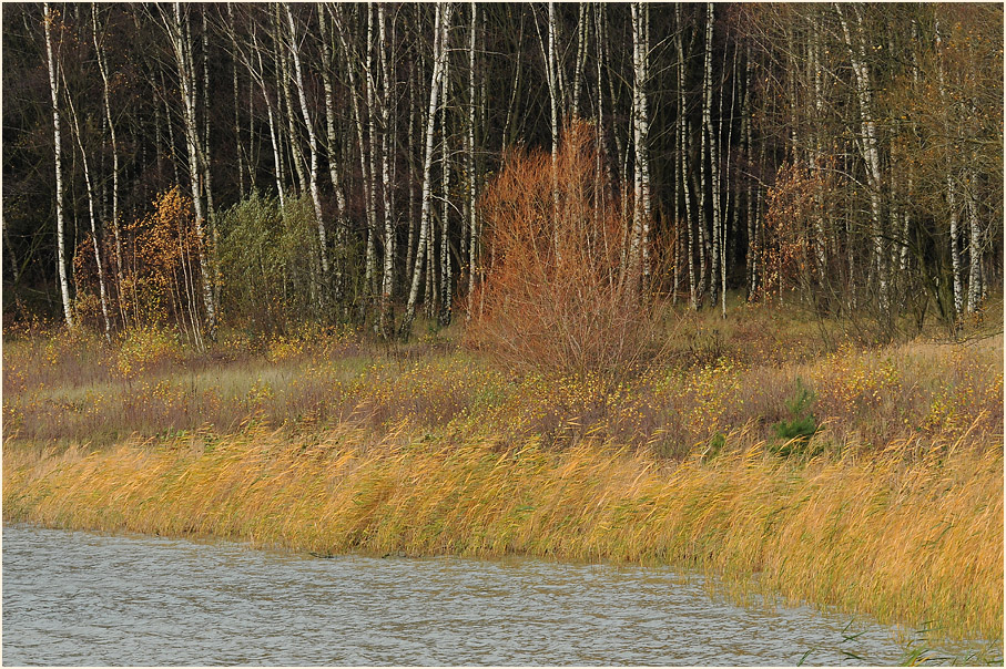 Bergsee, Dammer Berge