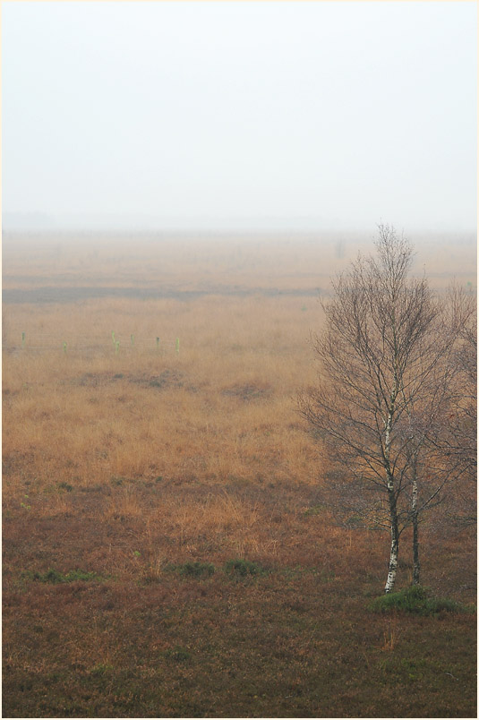 Neust&auml;dter Moor