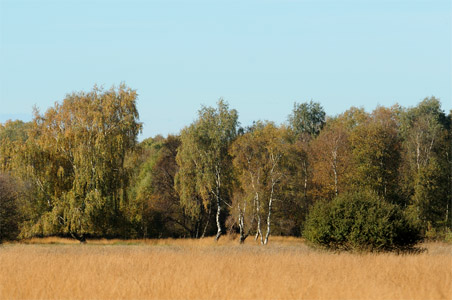 vergrößern