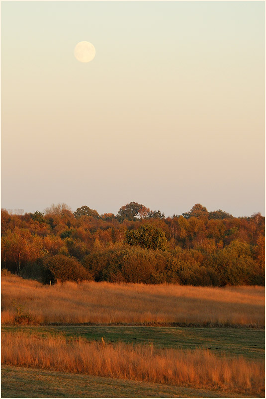 Neust&auml;dter Moor