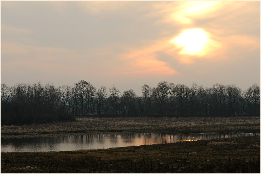 R&uuml;ckdeichungsgebiet bei Lenzen