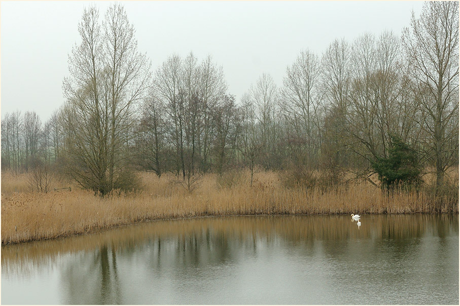 Rückdeichungsgebiet bei Lenzen