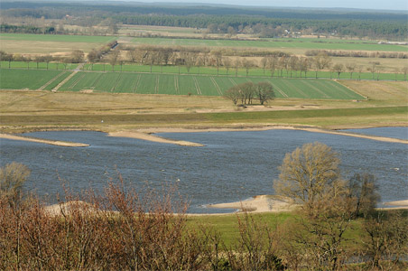 vergrößern