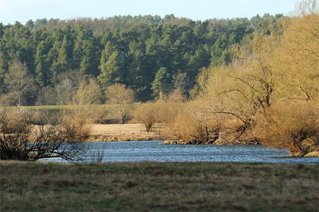 vergrößern