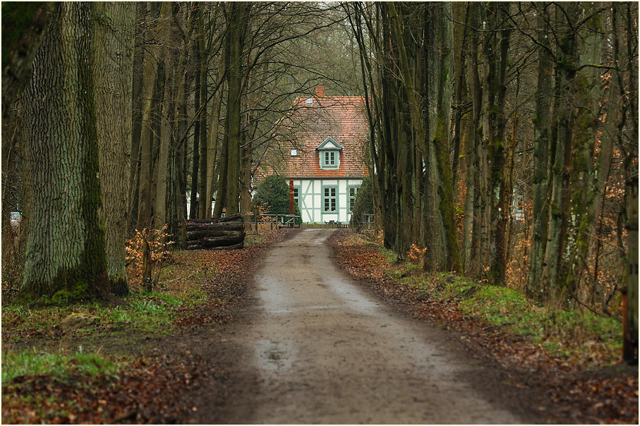 Jagdschloss Friedrichsmoor