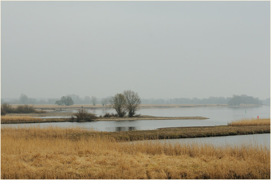 Rückdeichungsgebiet bei Lenzen