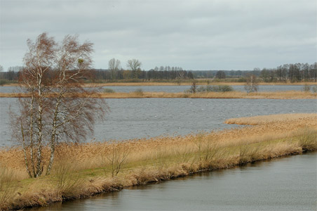 vergrößern