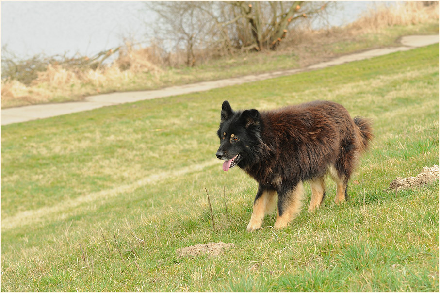 Reisebegleiter an der D&ouml;mitzer Eisenbahnbr&uuml;cke
