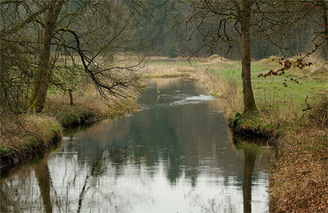 vergrößern