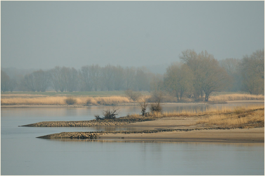 Rückdeichungsgebiet bei Lenzen