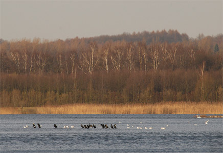 vergrößern