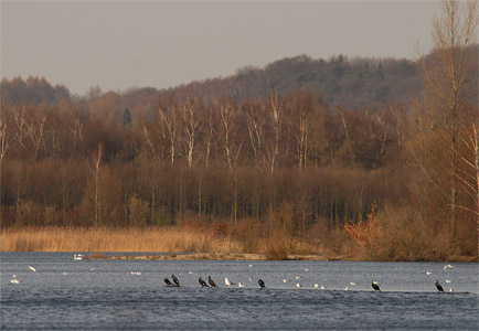 vergrößern