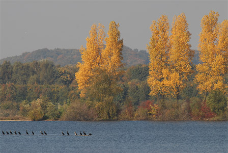 vergrößern