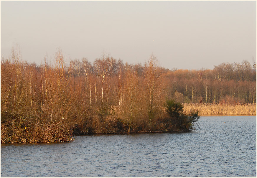 Elbseen Düsseldorf