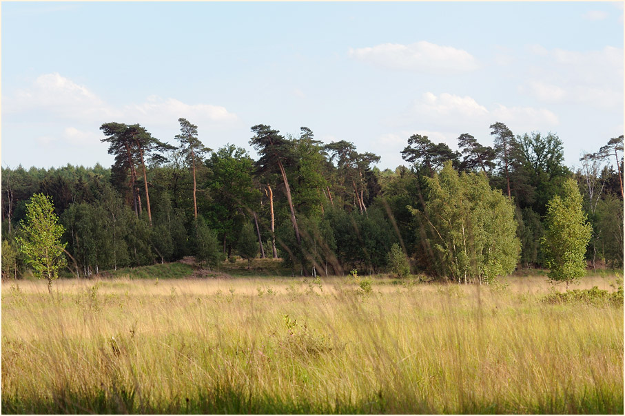 Elmpter Schwalmbruch, Naturpark Maas-Schwalm-Nette