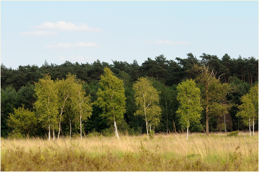 Elmpter Schwalmbruch, Naturpark Maas-Schwalm-Nette