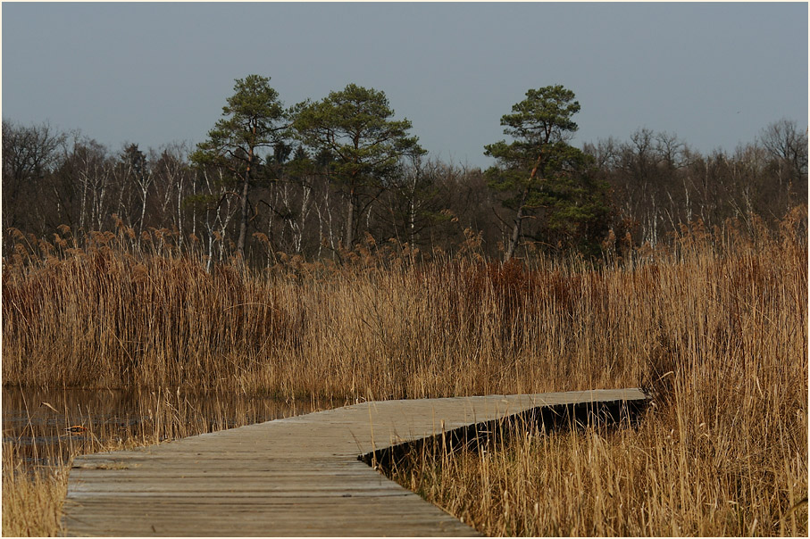 Elmpter Schwalmbruch, Naturpark Maas-Schwalm-Nette