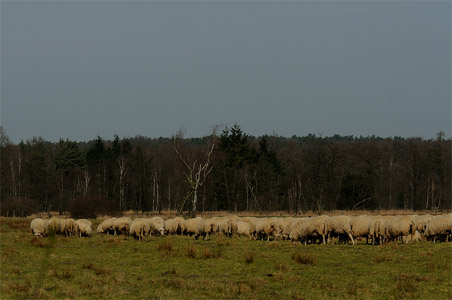 vergrößern