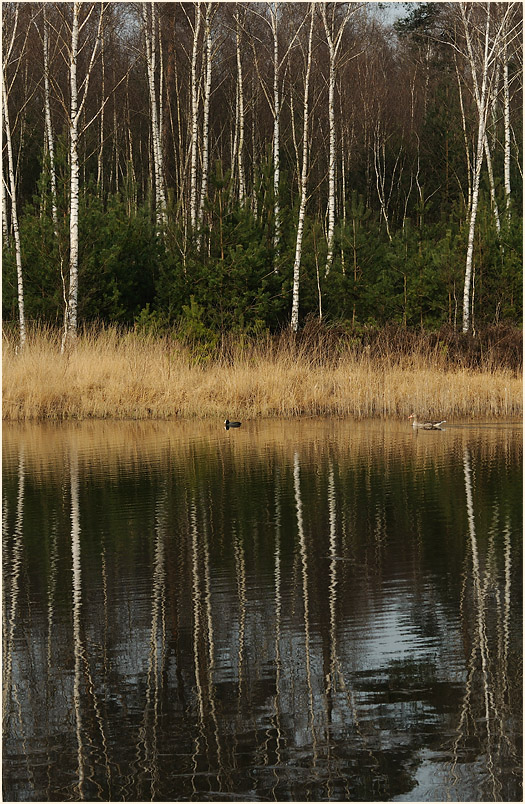 Elmpter Schwalmbruch, Naturpark Maas-Schwalm-Nette