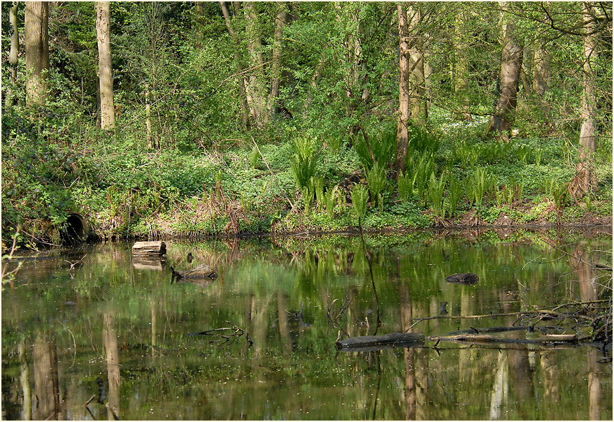 Selikumer Park an der Erft bei Neuss
