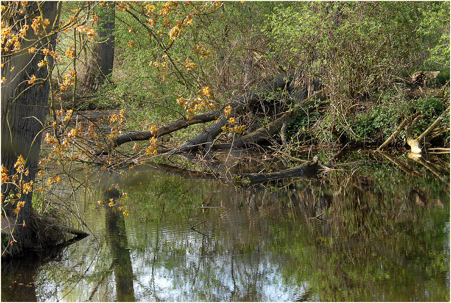 An der Erft bei Neuss