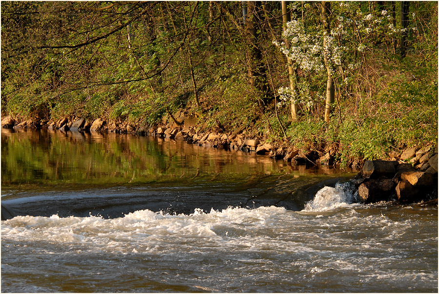 An der Erft bei Neuss