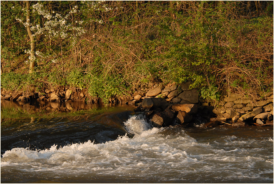 An der Erft bei Neuss