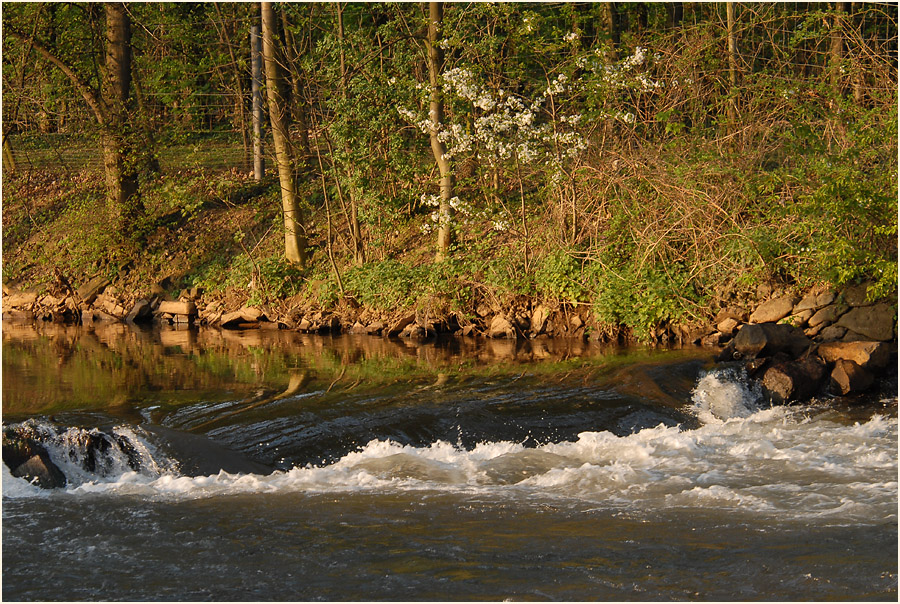 An der Erft bei Neuss