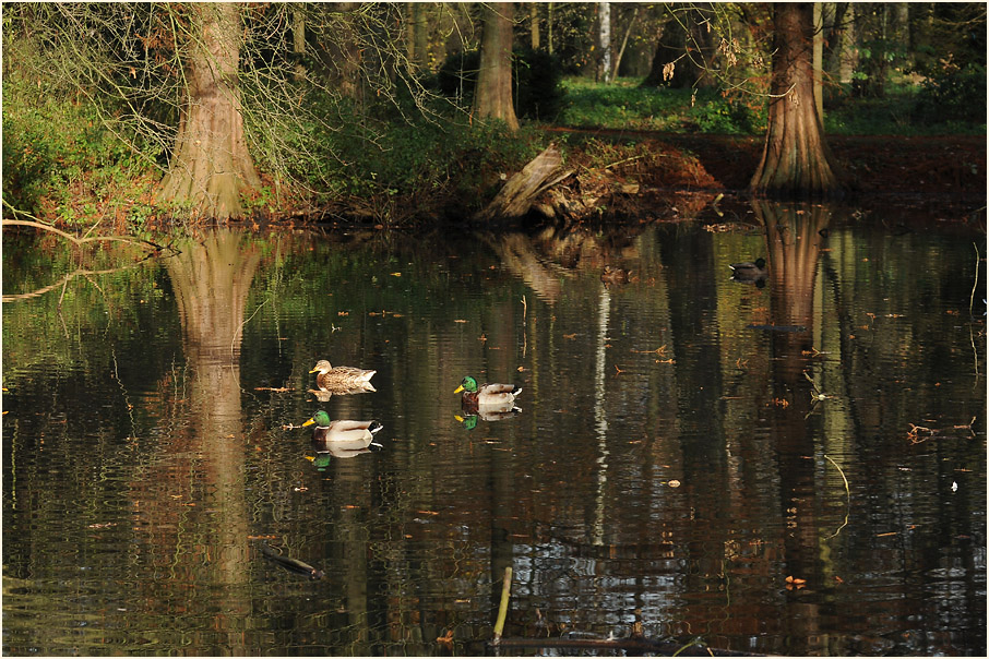 Selikumer Park an der Erft bei Neuss