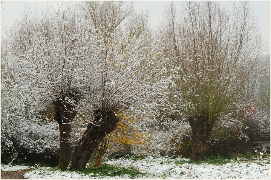 An der Erft bei Neuss im Winter