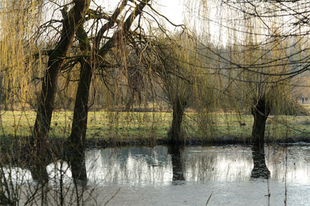 vergrößern