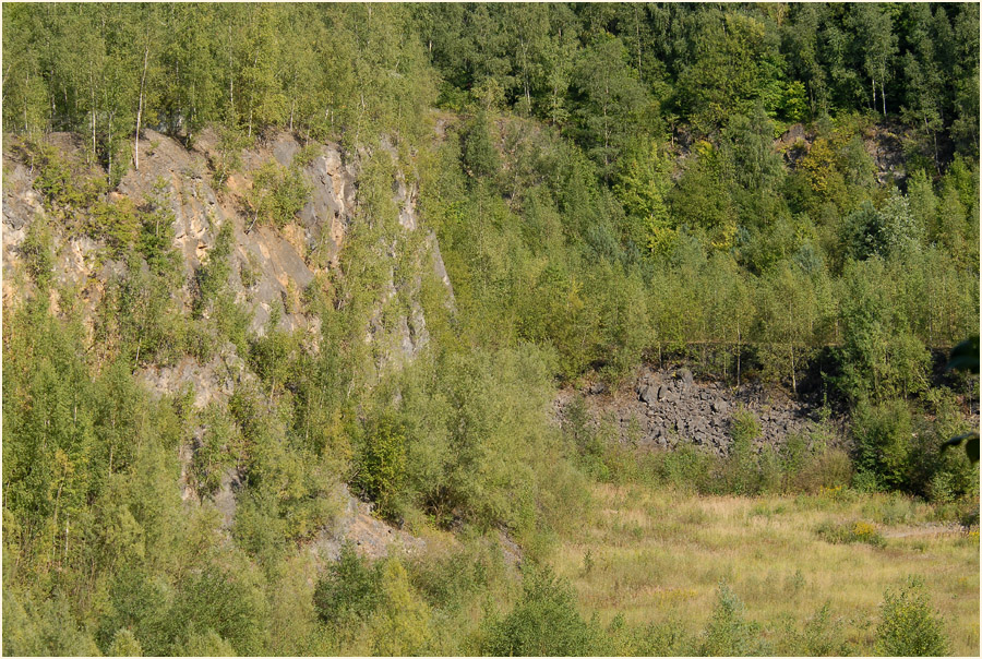 Grube 7, Kalksteinbrüche Haan Gruiten