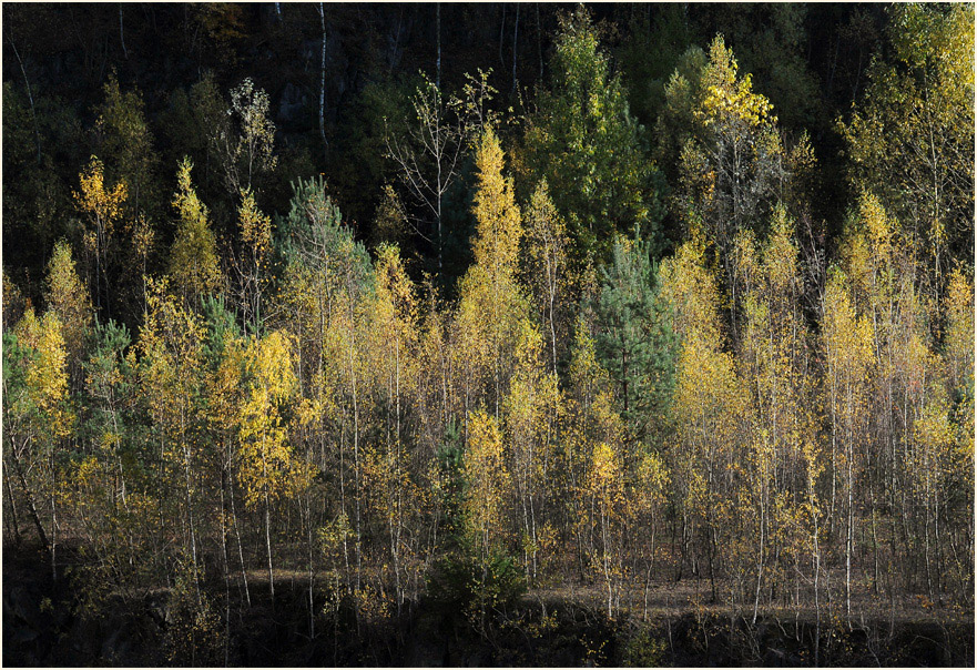 Herbst in Grube 7 in Haan Gruiten