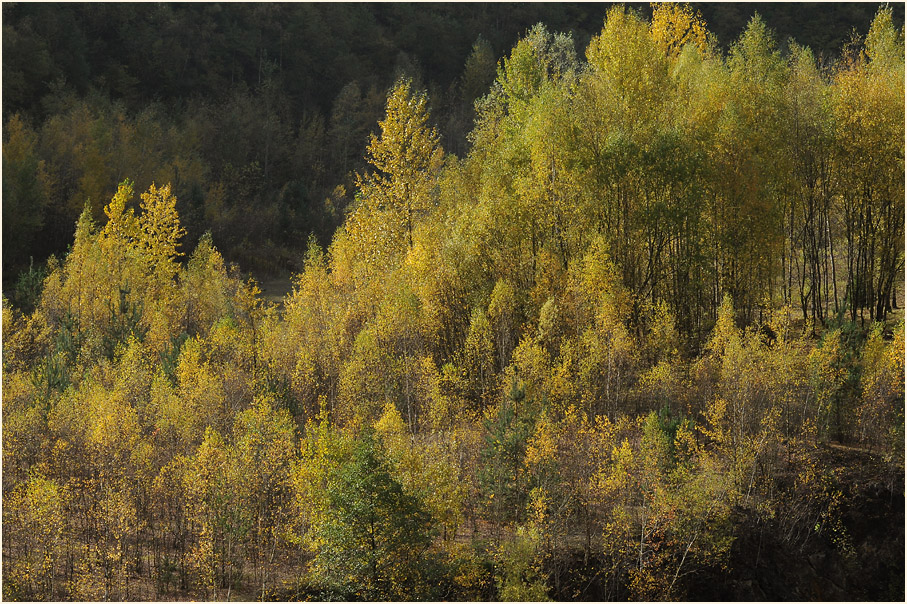 Herbst in Grube 7 in Haan Gruiten