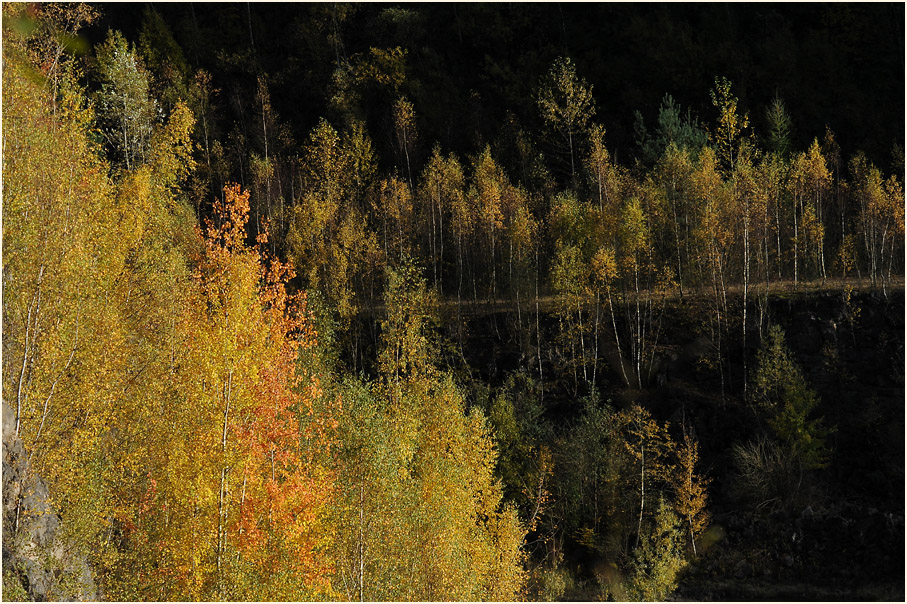 Herbst in Grube 7 in Haan Gruiten