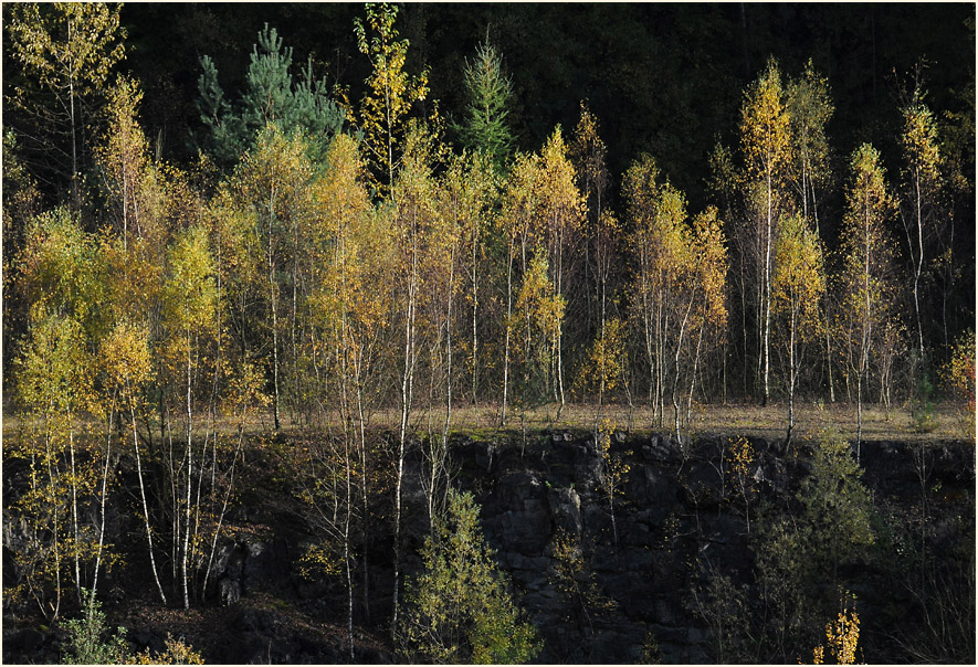 Herbst in Grube 7 in Haan Gruiten