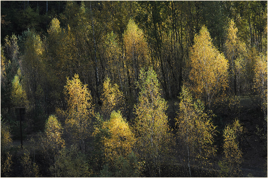 Herbst in Grube 7 in Haan Gruiten