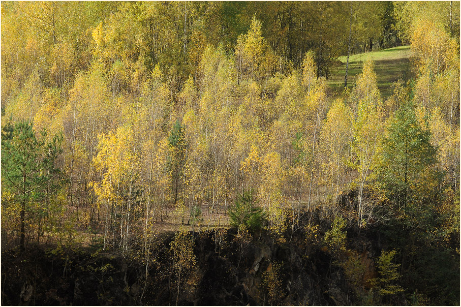 Herbst in Grube 7 in Haan Gruiten