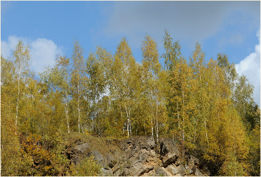 Herbst in Grube 7 in Haan Gruiten