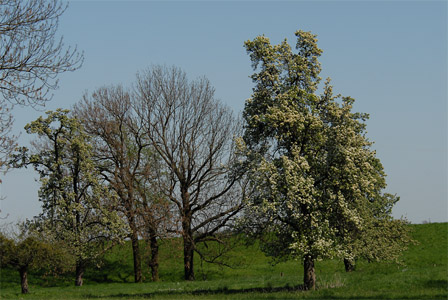 vergrößern