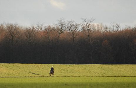 vergrößern