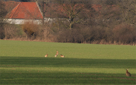 vergrößern