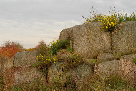 vergrößern