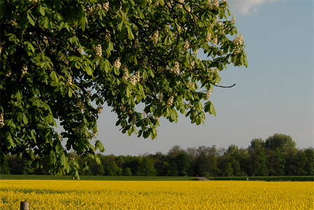 vergrößern