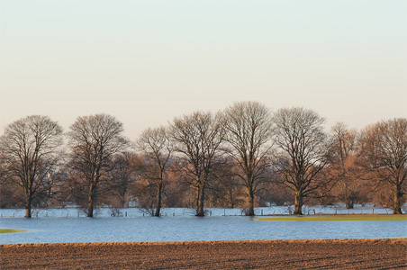 vergrößern