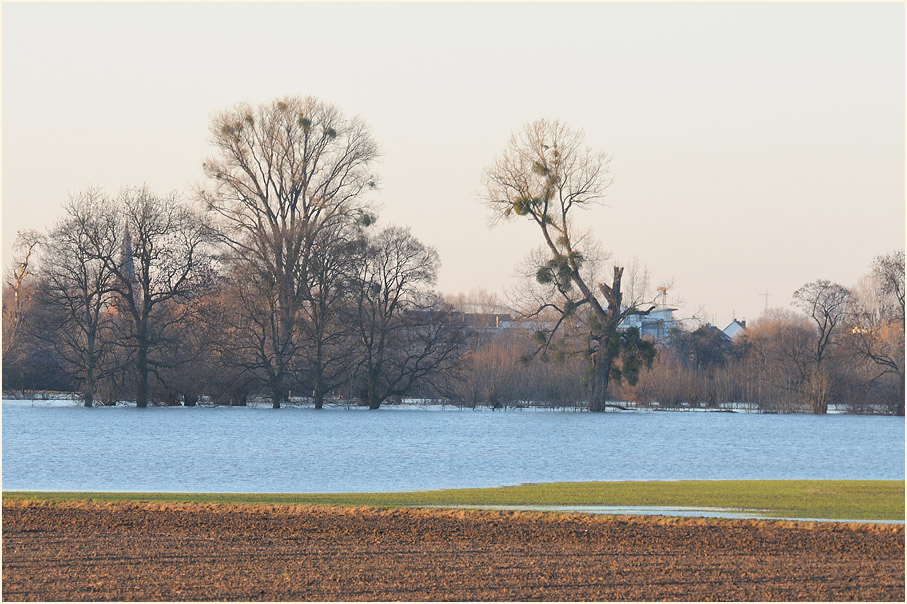 Himmelgeister Rheinbogen Düsseldorf