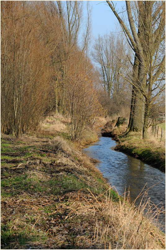 Ilvericher Altrheinschlinge Meerbusch