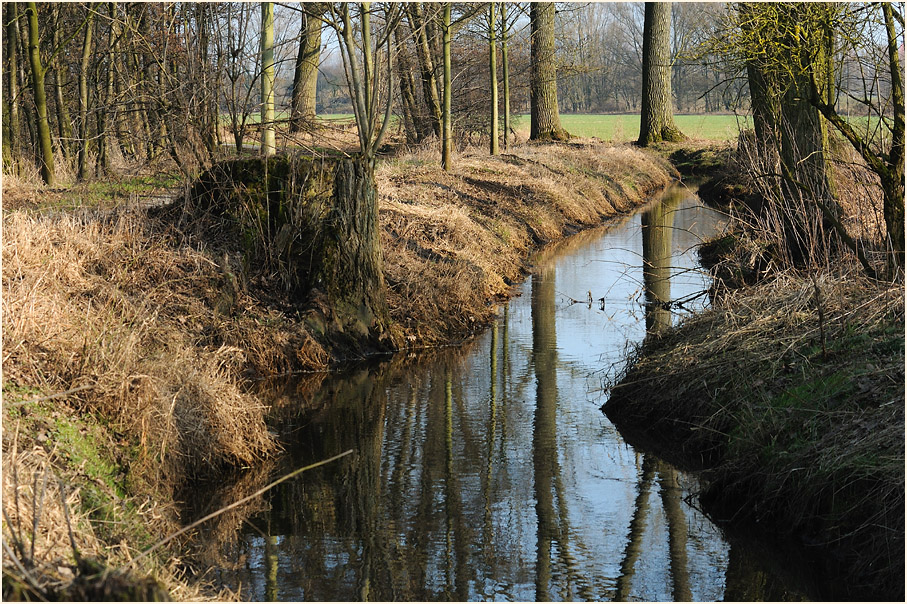 Ilvericher Altrheinschlinge Meerbusch