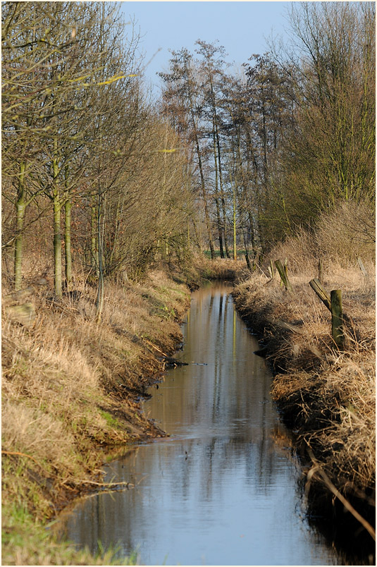Ilvericher Altrheinschlinge Meerbusch